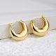 Fashionable Modern Round Brass Earrings