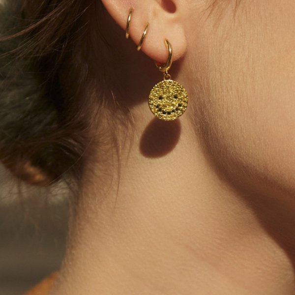 Hot style earrings